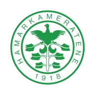 HamKam U19