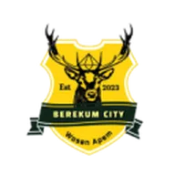 Berekum City