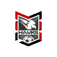 Holland Park Hawks