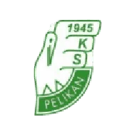 Pelikan Łowicz